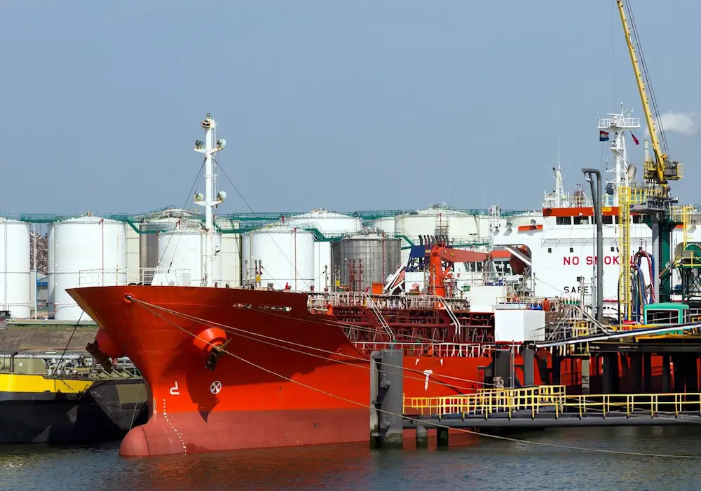 Cargo Search